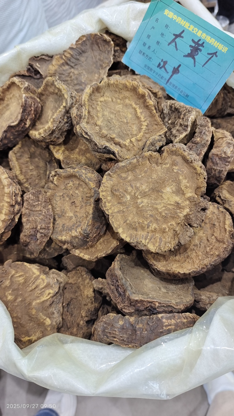 大黄甘肃西大黄干货量大从优