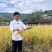 良缘常规水稻