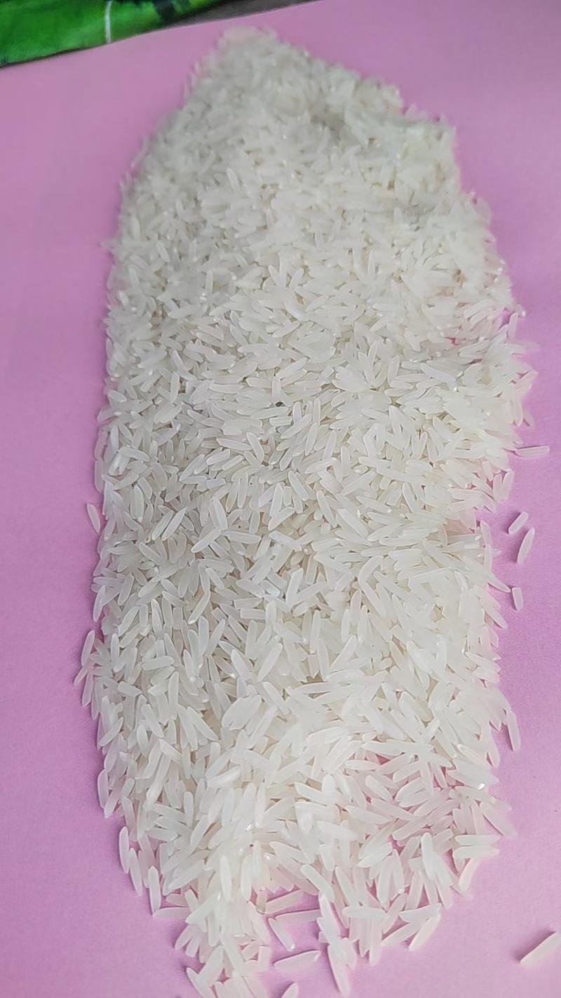 良缘常规水稻