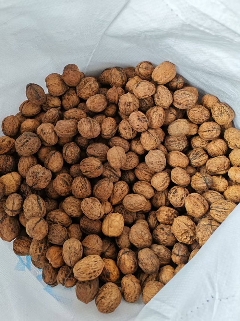 25年新货一手资源质量保证包退薄皮核桃