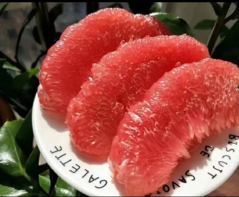 【源头直采】湖北枝江红心蜜柚，一手货源，需要的老板联系