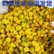 山西朔州精品彩椒甜椒可出口可外贸量大从优电商可接