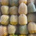 山西朔州精品彩椒甜椒可出口可外贸量大从优电商可接