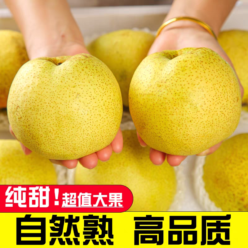 山西贡梨产地一手货源，量大优惠，对接市场电商平台，欢迎合作