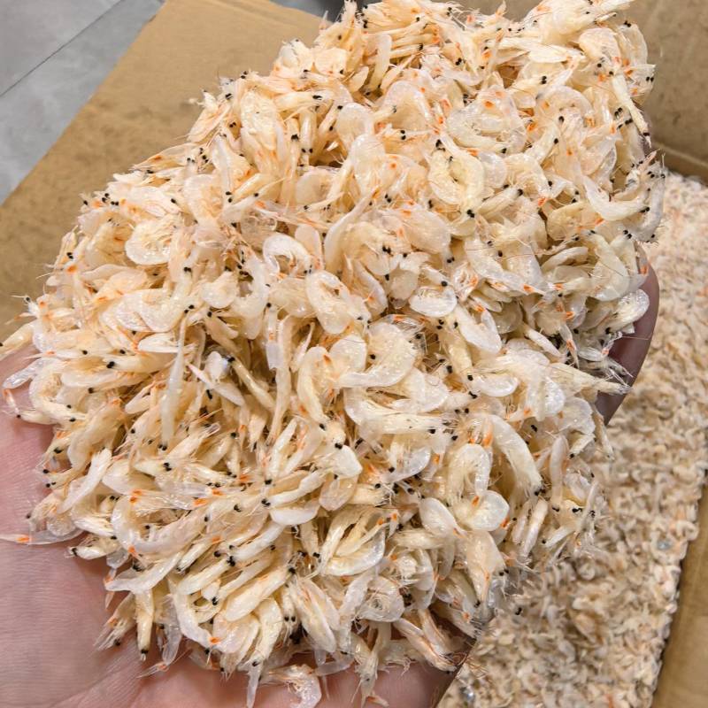 浙江舟山虾皮产地直发一手货源餐饮源头供应商