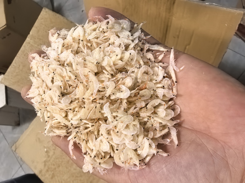 浙江舟山虾皮产地直发一手货源餐饮源头供应商