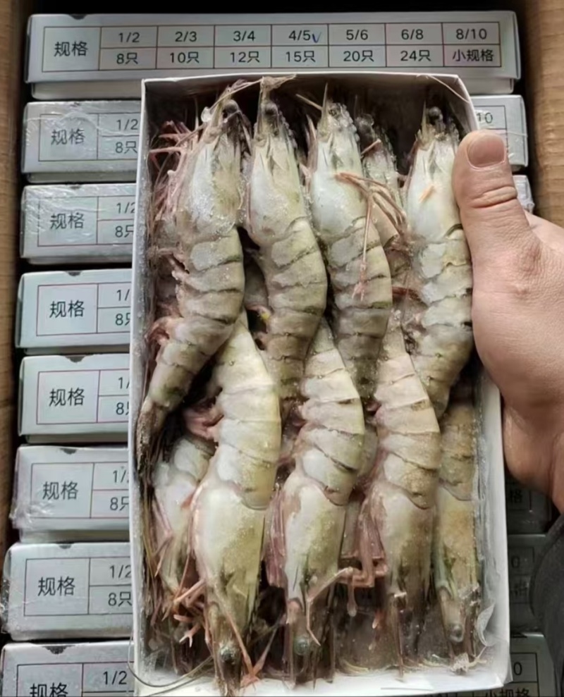 生冻黑虎虾，电商市场全部对接，全国一件代发。