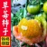 绿腚西红柿&铁皮柿子/铁皮西红柿/产地直供/全国发货