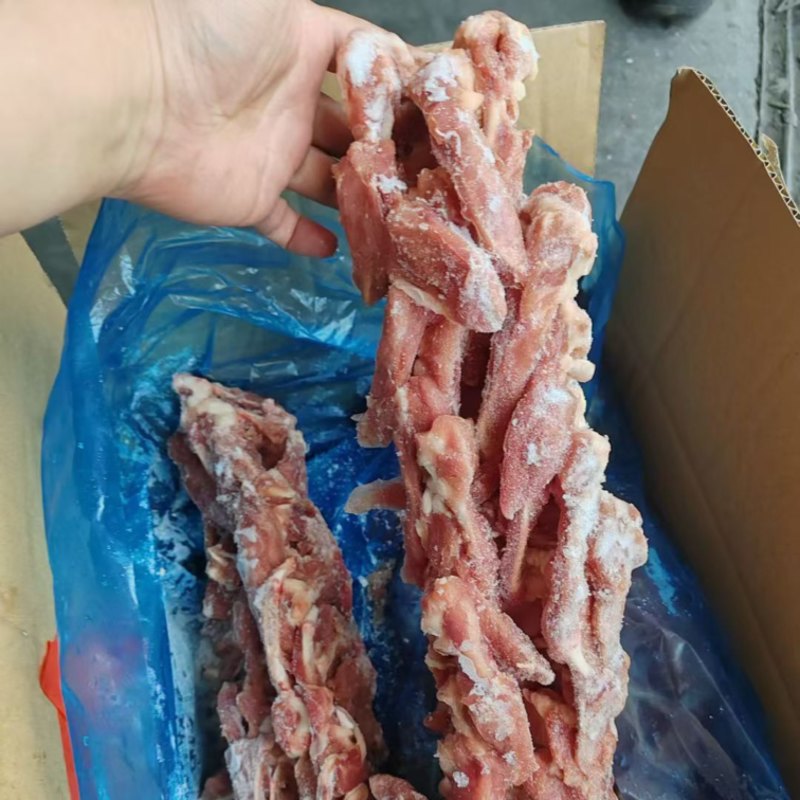 二级鸭锁骨