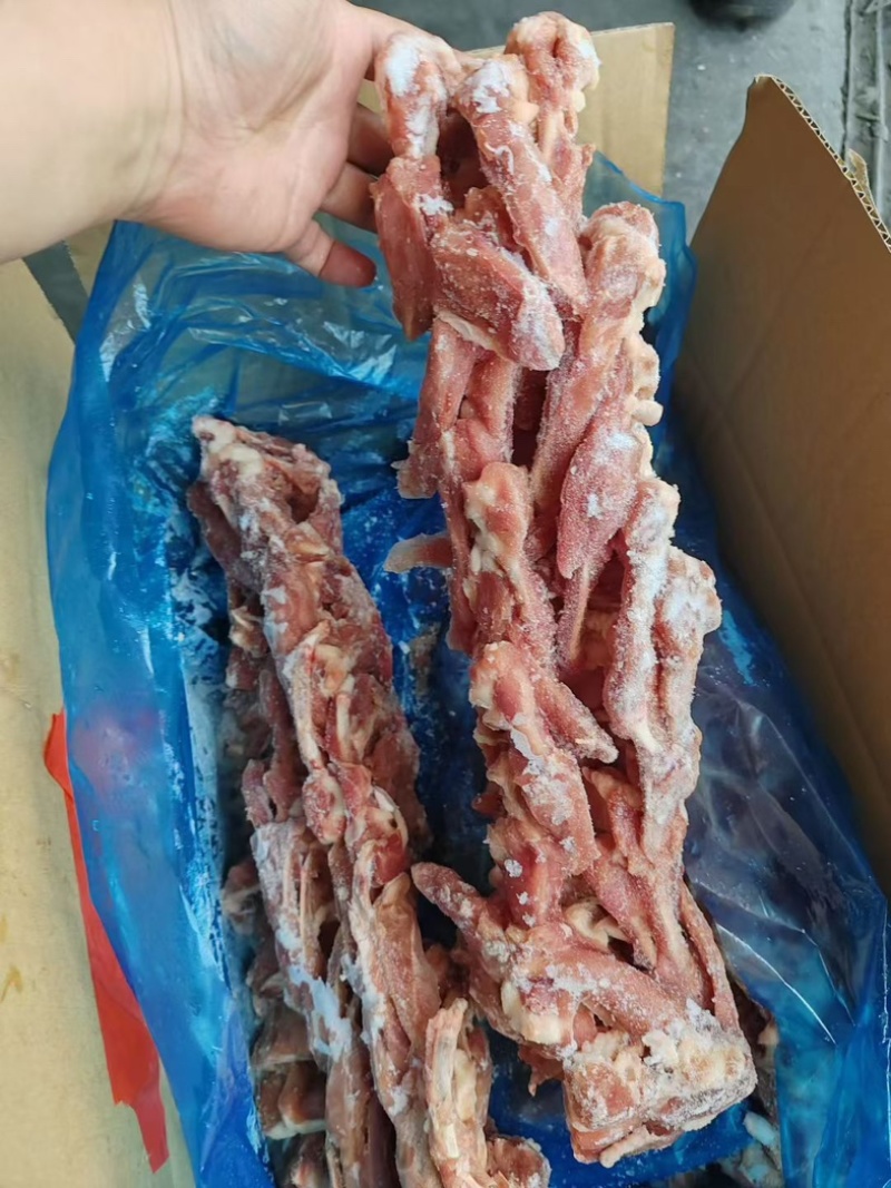 二级鸭锁骨