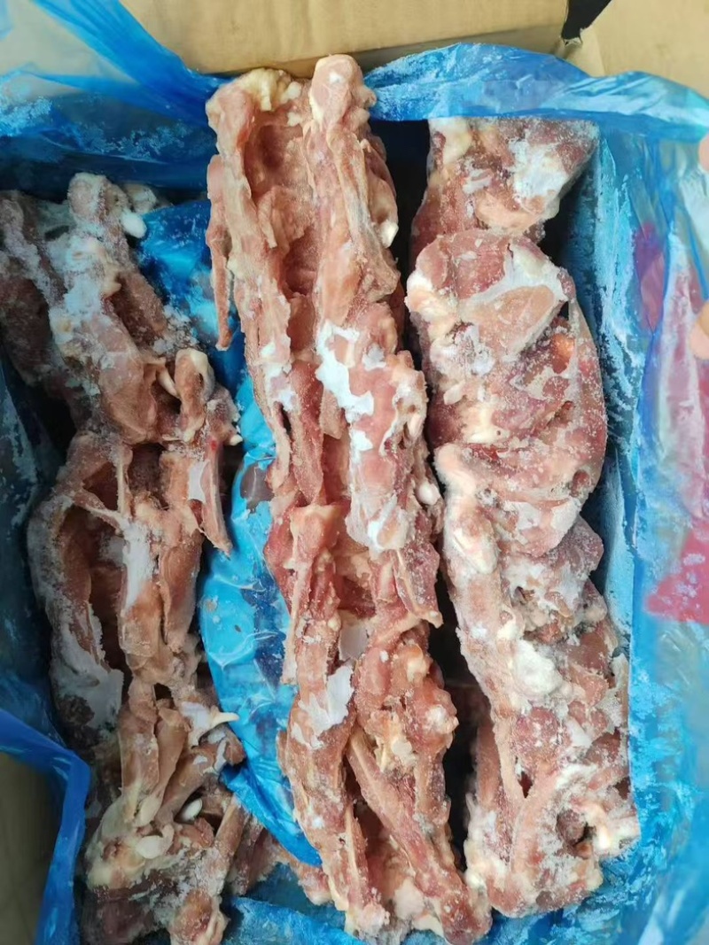 二级鸭锁骨