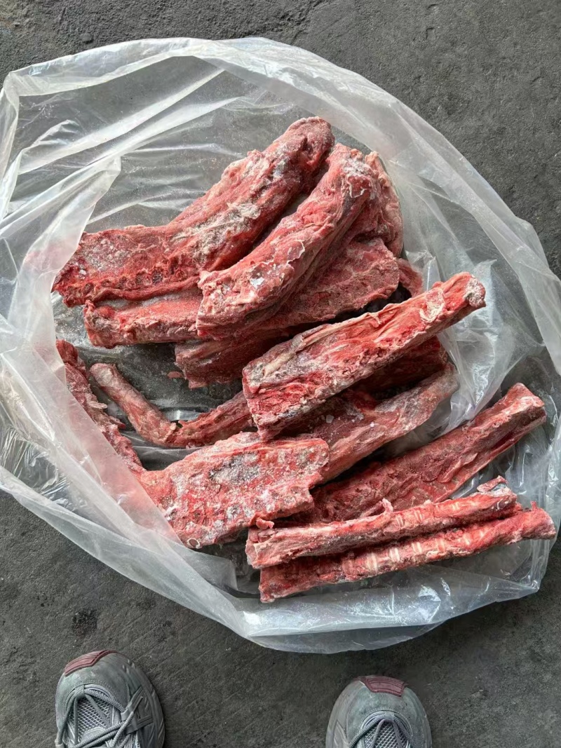 羊蝎子