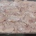 老鸡小胸