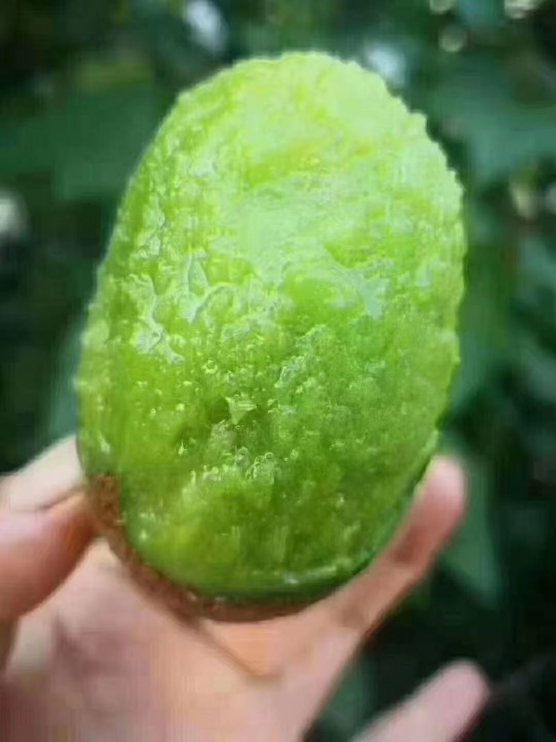 新鲜翠香猕猴桃，果肉细腻多汁，健康美味直达家门！