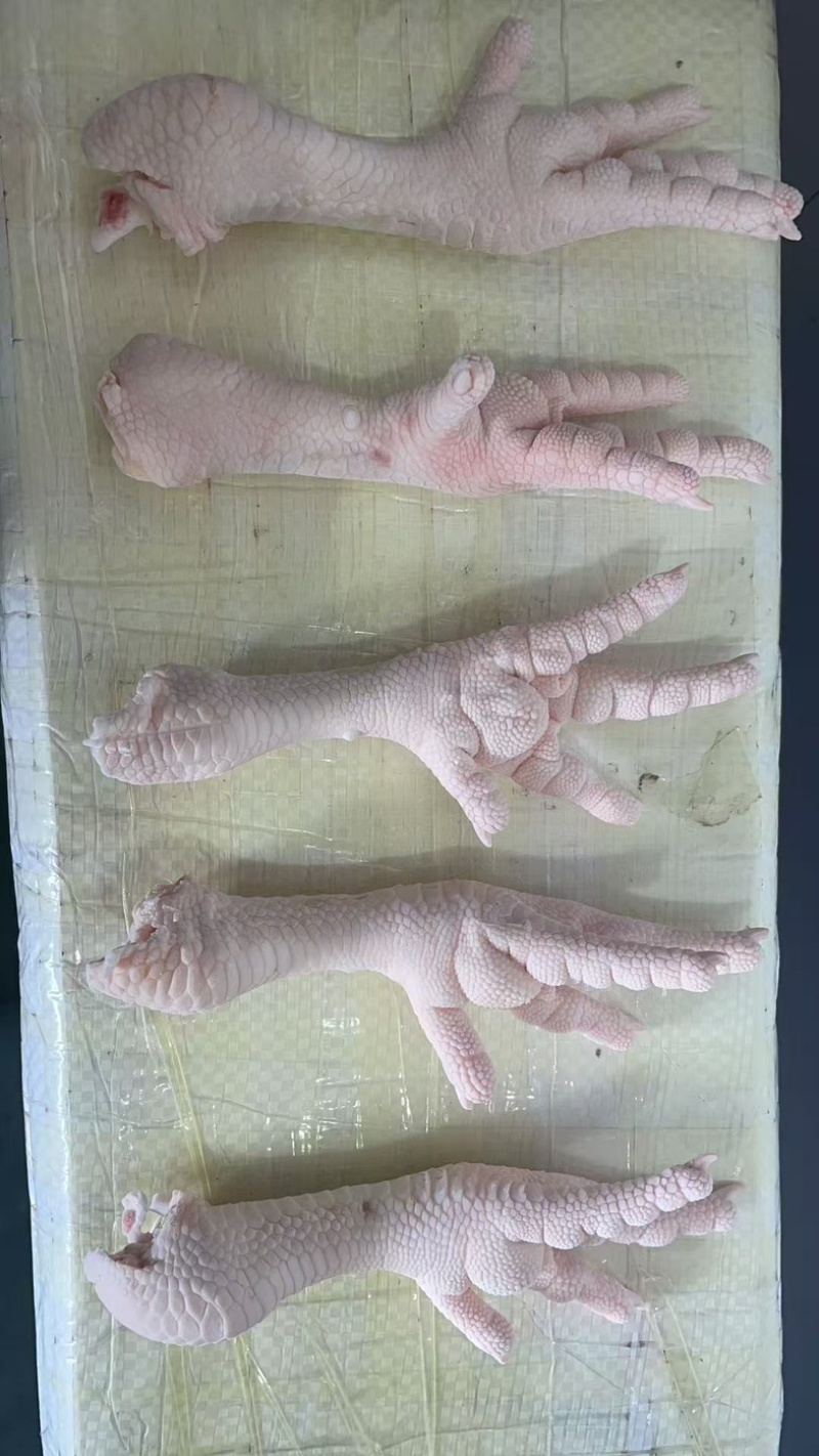 54以上鸡爪