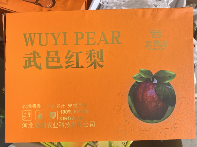 武邑红梨产地一手货源，量大从优，规格齐全代发全国