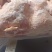 二级老鸡排腿