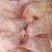 二级老鸡排腿