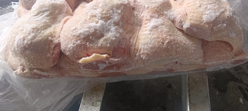 二级老鸡排腿