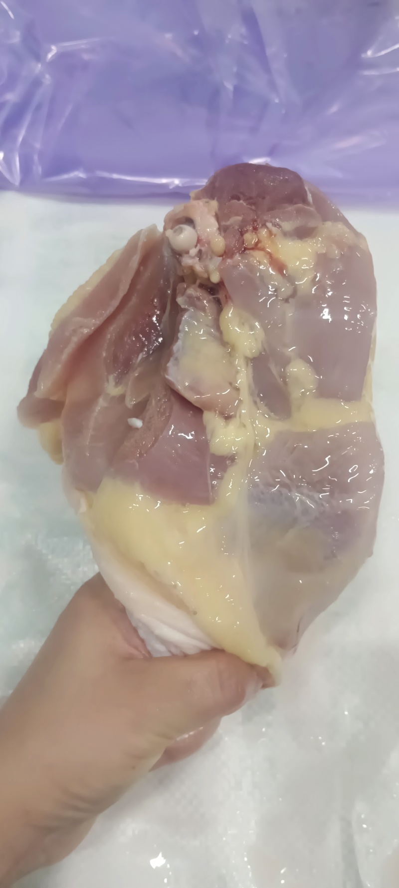 老鸡排腿，白毛种母鸡，箱装6公斤