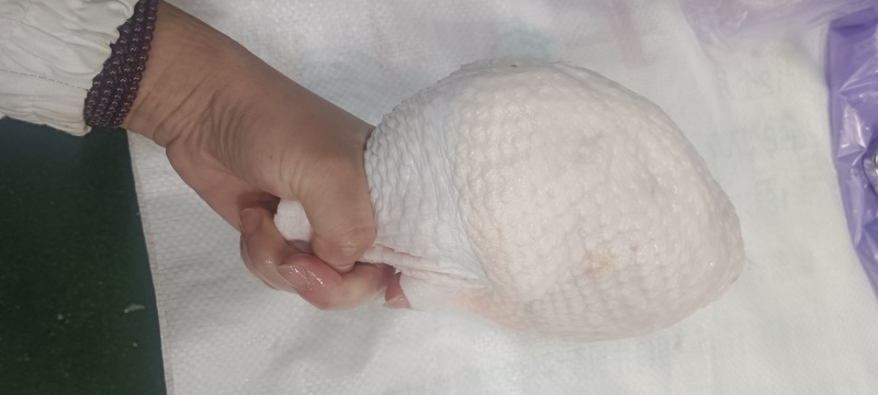 老鸡排腿，白毛种母鸡，箱装6公斤