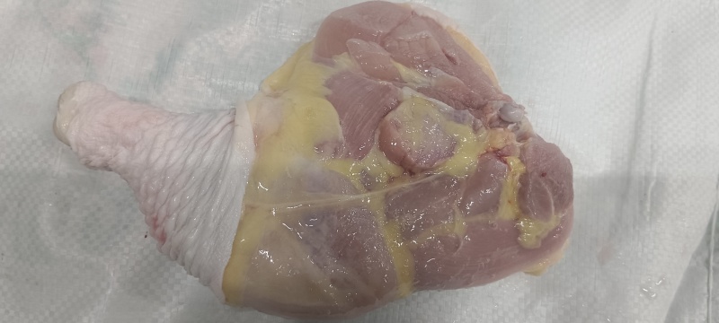 老鸡排腿，白毛种母鸡，箱装6公斤