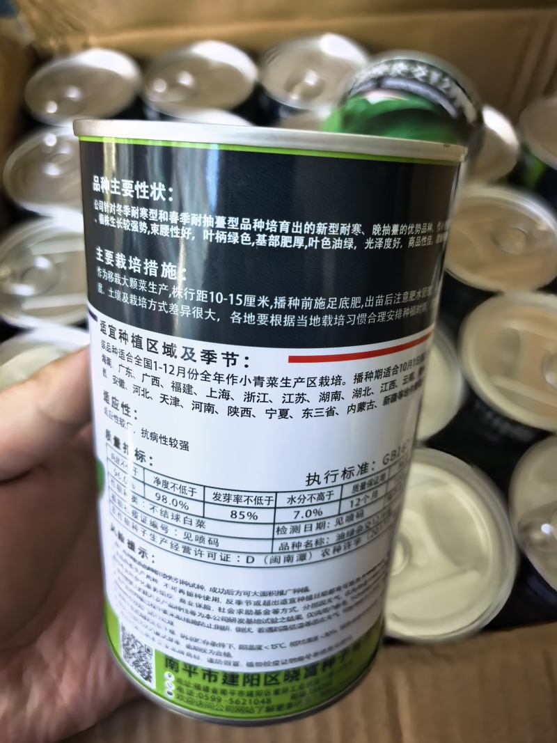 耐寒青菜种子油绿杂交12月慢青梗菜越冬耐抽苔四季上海青菜