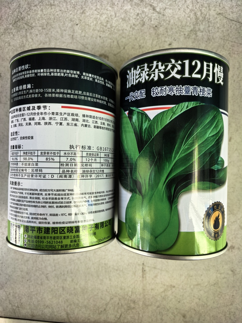 耐寒青菜种子油绿杂交12月慢青梗菜越冬耐抽苔四季上海青菜
