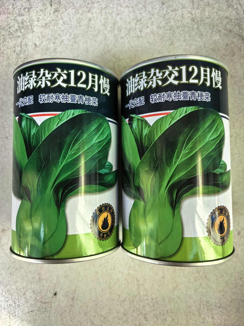 耐寒青菜种子油绿杂交12月慢青梗菜越冬耐抽苔四季上海青菜