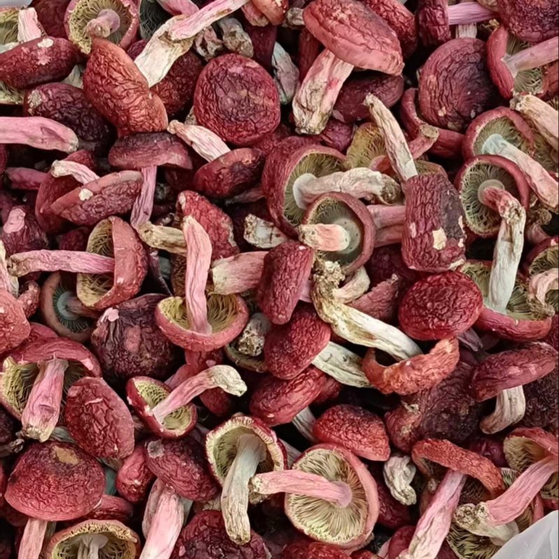 【红菌】红菇自家烘烤云南普洱大红菇食用菌中菇可对接全国