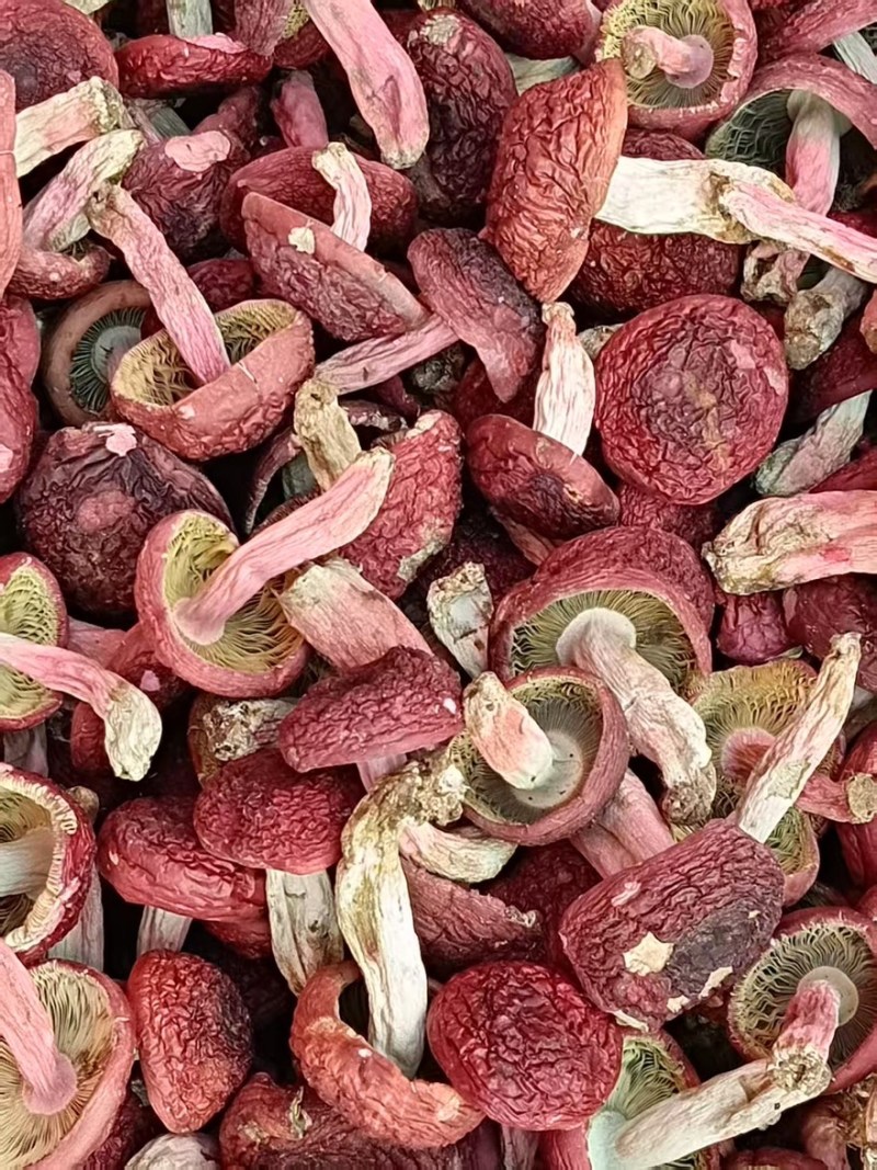 【红菌】红菇自家烘烤云南普洱大红菇食用菌中菇可对接全国