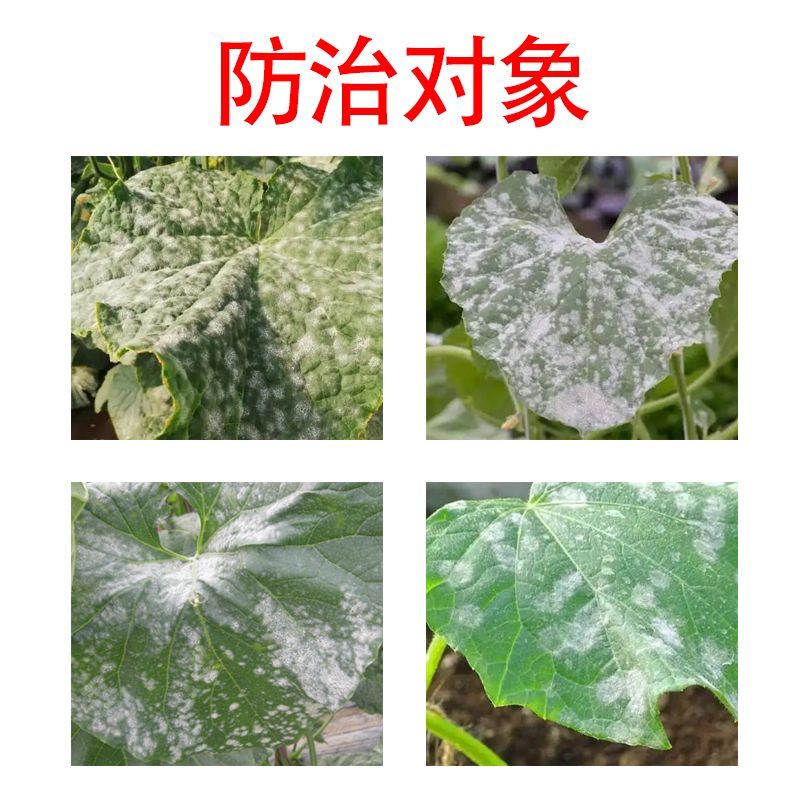 鑫星50%福美双蔬菜花卉白粉病霜霉病根腐病土壤消毒杀菌剂