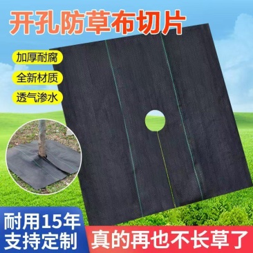 防草布除草布防草除草种植专用多孔单孔各种规