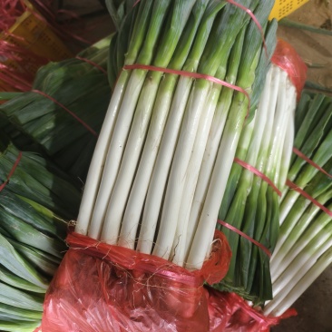 杭州萧山精品新鲜大葱