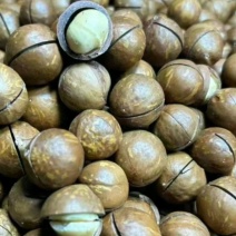 夏威夷果，可以电商代发