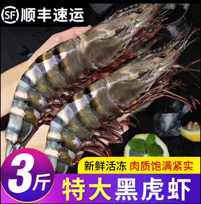 16/20黑虎虾肉质鲜嫩老虎虾鲜活大速冻发货顺风全国包邮