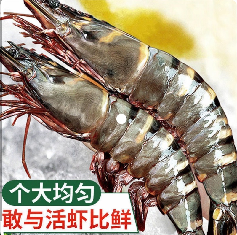 16/20黑虎虾肉质鲜嫩老虎虾鲜活大速冻发货顺风全国包邮