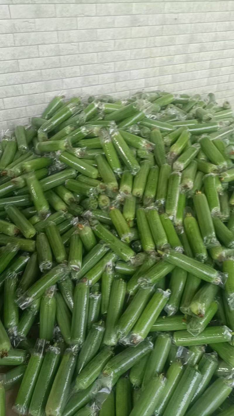 水丝瓜长25cm，口感好微甜丝滑爽爽口老少皆宜