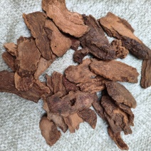锁阳