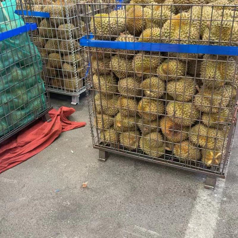 金枕榴莲金枕头榴莲散果产地直发品质保障对接全国等