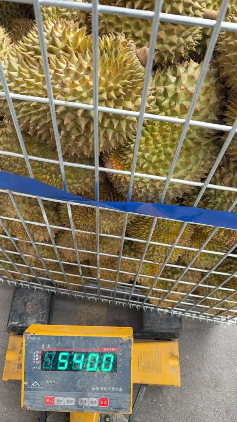 金枕榴莲金枕头榴莲散果产地直发品质保障对接全国等