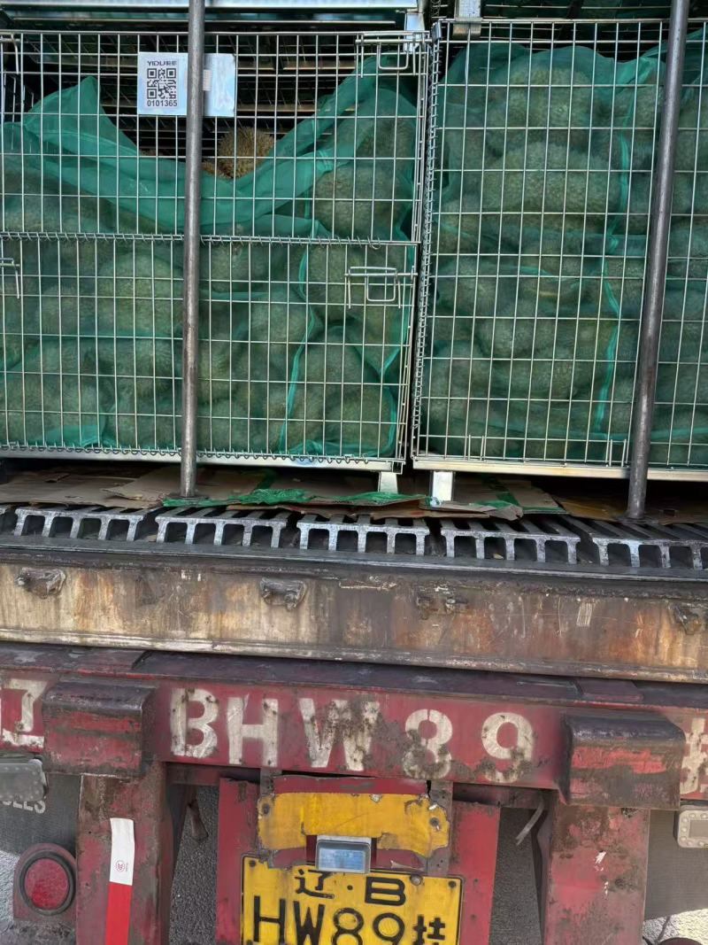 金枕榴莲金枕头榴莲散果产地直发品质保障对接全国等