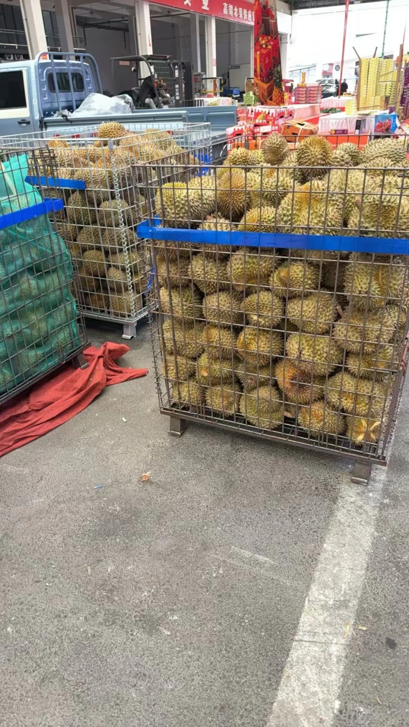 金枕榴莲金枕头榴莲散果产地直发品质保障对接全国等
