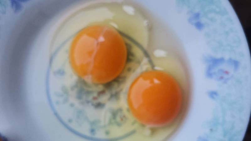 江西精品鲜鸡蛋