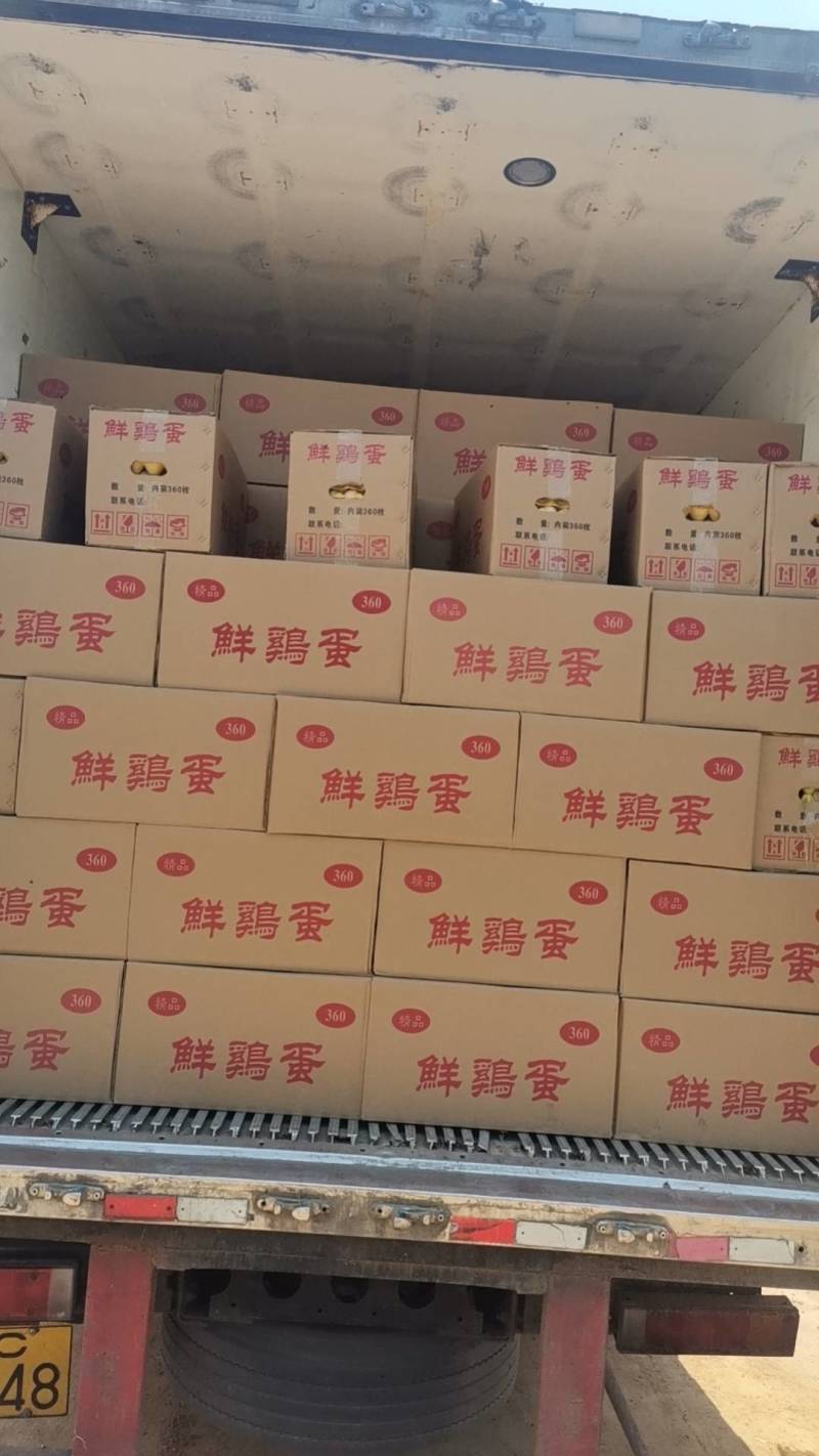 江西精品鲜鸡蛋