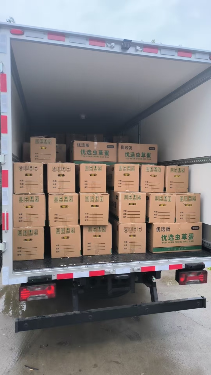 精品富硒无抗鸡蛋土鸡物流承接订单河南产地直发。