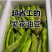 紫花油豆角/东北油豆角/产地直发（可代发全国）量大从优