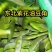 紫花油豆角/东北油豆角/产地直发（可代发全国）量大从优