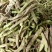 紫花油豆角/东北油豆角/产地直发（可代发全国）量大从优