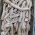羊红肠，锡盟工厂直拍直销，全国冷链物流发货，手续齐全